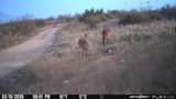 14867 County Road 407 - Photo 37