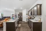279 Thoroughbred Street - Photo 14
