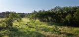 1324 Tidwell Road - Photo 36