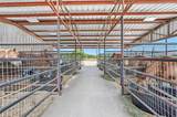 20910 Us Highway 377 - Photo 19