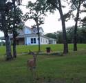 2094 Jim Harry Loop - Photo 38