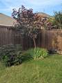 125 Meadow Crest Drive - Photo 37