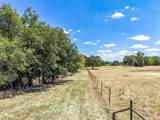 509 Almante Avenue - Photo 5
