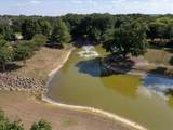 12824 Modena Court - Photo 33