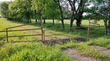 TBD Fm 1752 Road - Photo 9