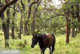 730 Us Hwy 84 - Photo 29