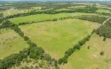1275 County Road 216 - Photo 10