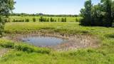 1275 County Road 216 - Photo 6