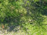 0000 Vz County Road 3710 - Photo 12