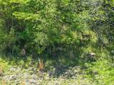 0000 Vz County Road 3710 - Photo 4