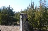 5811 Folsom Road - Photo 9