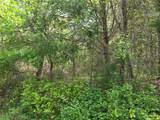 Lot 95 Stillwater Shores Drive - Photo 7