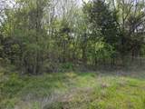 Lot 95 Stillwater Shores Drive - Photo 8