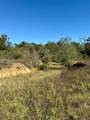 70+/- Acres Turner - Photo 12