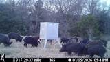 70+/- Acres Turner - Photo 17