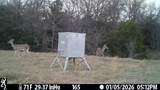 70+/- Acres Turner - Photo 22
