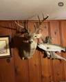 70+/- Acres Turner - Photo 29