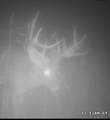 70+/- Acres Turner - Photo 33