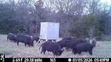 70+/- Acres Turner - Photo 7