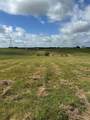 5566 County Road 662 - Photo 8