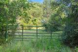 TBD Tract 5 28.71 AC Boren Road - Photo 5