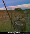 3402 County Road 196 - Photo 3