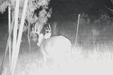 3402 County Road 196 - Photo 7