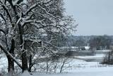 TBD Fm 2383 - Photo 6