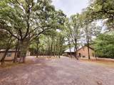 161 Colt Drive - Photo 4