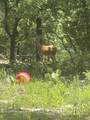 316 County Road 458 - Photo 12