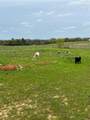 316 County Road 458 - Photo 9