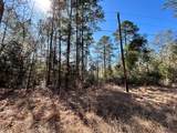 Lot 8 Sir Ewaine Drive - Photo 3