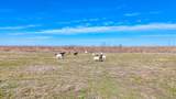 Lot 22 Private Road 1270A - Photo 3