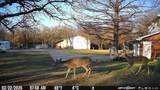 1155 Point Vista Road - Photo 12