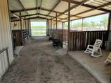 13656 County Road 238 - Photo 33