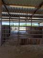 13656 County Road 238 - Photo 36