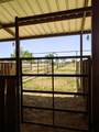 13656 County Road 238 - Photo 37