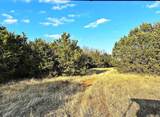 16061 County Road 107 - Photo 3