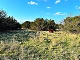 16061 County Road 107 - Photo 9