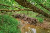 107 Falls Creek Lane - Photo 4