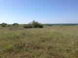 TBD 1 Cr 343 Road - Photo 13
