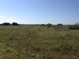 TBD 1 Cr 343 Road - Photo 15