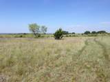 TBD 1 Cr 343 Road - Photo 17