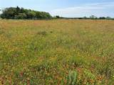 TBD 1 Cr 343 Road - Photo 19