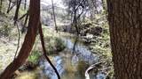 1011 Hidden Cove Trail - Photo 5