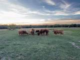 4081 Fm 2736 - Photo 17