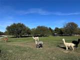 4081 Fm 2736 - Photo 7
