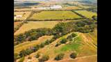 10570 Sam Bass Road - Photo 5
