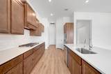 1728 Nesting Robin Lane - Photo 12