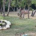 124 Bluffview Circle - Photo 38